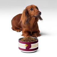 Gamelle 530ml pour animaux